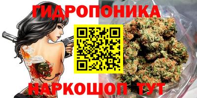 jwh Беслан