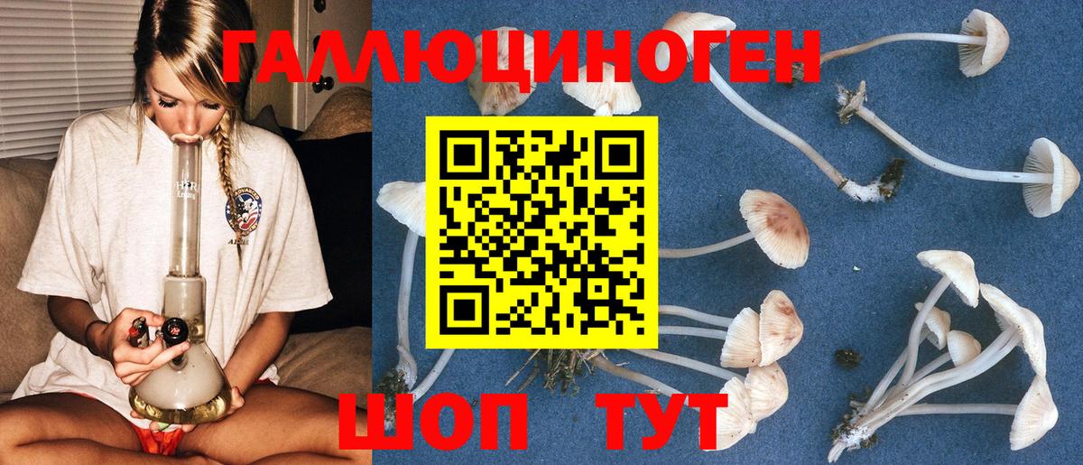 Видное  Псилоцибиновые грибы Psilocybine cubensis  Вход с VPN 